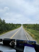 die Landschaft wird karger