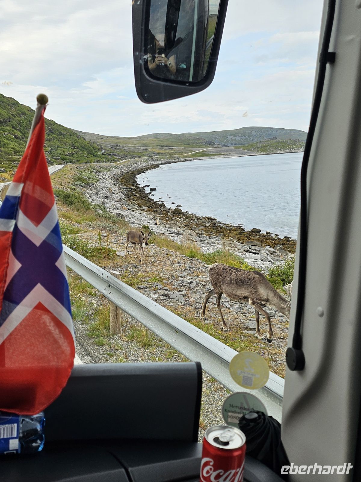 und vielen Rentieren