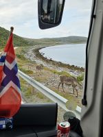 und vielen Rentieren