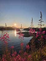 Mitternachtssonne am Hotel