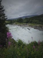 Wasserfall mit Lachstreppe