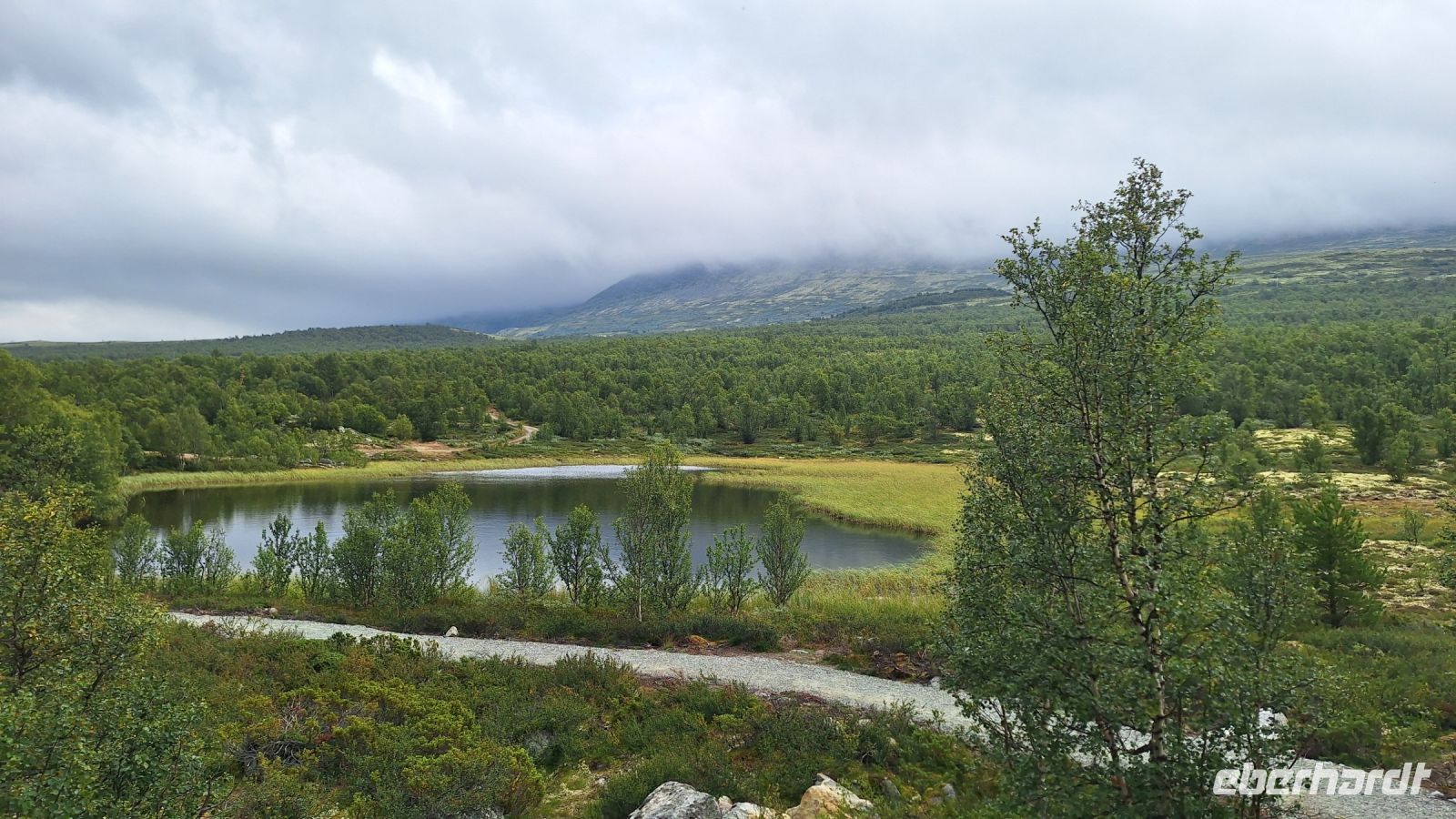 Dovrefjell