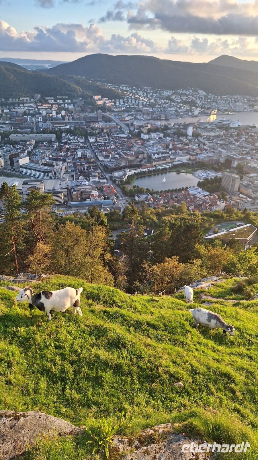 Bergen: Blick vom Flöyen