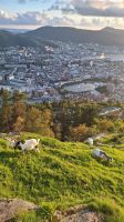 Bergen: Blick vom Flöyen