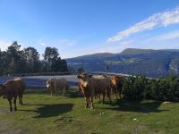 Models oder Mädels?