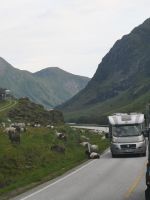 Ich bin mit Kauen noch nicht fertig...