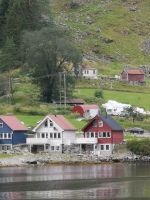 Was für Baum könnte das sein - blase Linde?
