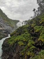 Leider kann ich singen nicht aufnehmen             
