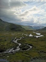 karges Gelände nebst Flambahn