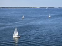 Aktivität auf der Kieler Förde