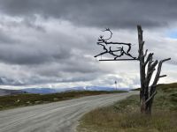 Grimmsdal, fliegende Elche