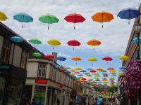Hurtigruten: Trondheim: Rundgang mit Paolo