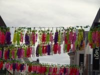 Hurtigruten: Trondheim: Rundgang mit Paolo