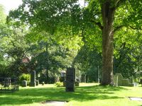 Hurtigruten: Trondheim: am Nidarosdom