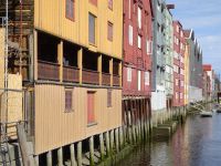 Hurtigruten: Trondheim: Rundgang mit Paolo