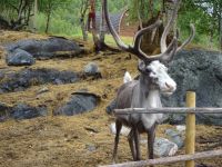 Hurtigruten: Kirkenes: Gelände des Snow Hotel