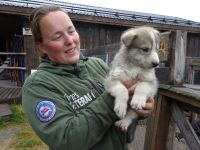 Hurtigruten: Kirkenes: Gelände des Snow Hotel