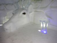 Hurtigruten: Kirkenes: im Snow Hotel