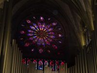 Hurtigruten: Trondheim: im Nidarosdom