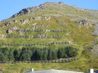 Hurtigruten: Honningsvag