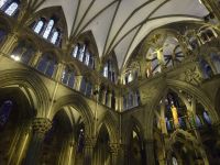 Hurtigruten: Trondheim: im Nidarosdom