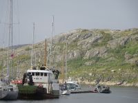 Hurtigruten: Bodö: Rundgang