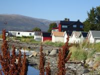 Hurtigruten: Tromsö: Rundgang