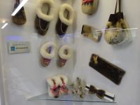 Hurtigruten: Tromsö: im Polarmuseum