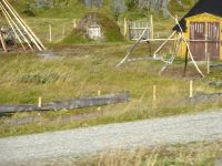 Hurtigruten: unterwegs zum Nordkap