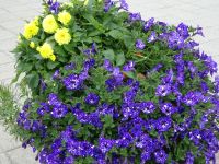 Hurtigruten: Kirkenes: Rundgang