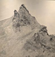 20240911 20.... finde 8 Trolle.jpg