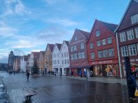 Bergen bei Regen Impressionen (13)