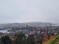 Blick auf Trondheim (1)