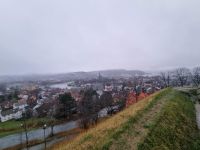 Blick auf Trondheim (2)