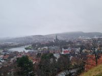 Blick auf Trondheim (3)