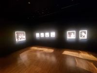 Ringe Musikmuseum (7)