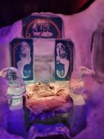 magic icebar Svolvaer (19)