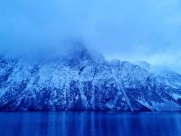 Morgendliche Stimmung (1)