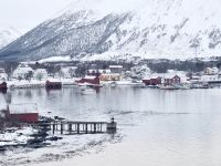 Risöhamn und Sundbrücke (9)