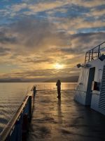 Impressionen der norwegischen Küste (15)