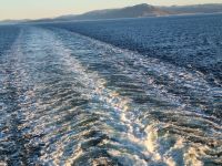 Impressionen der norwegischen Küste (19)