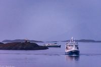 Am Polarkreis - ganz schön viel Schiffsverkehr am Polarkreis (im Hintergrund das lokale Hurtigbåt)