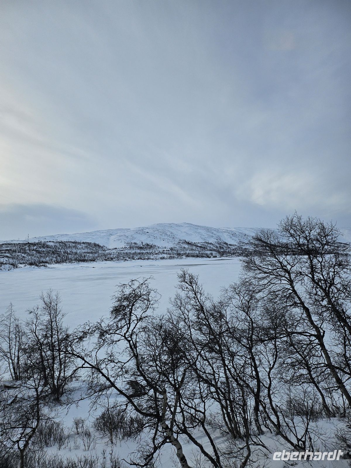 die Landschaft wird karger