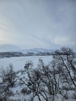 die Landschaft wird karger