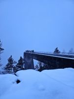 Stegasteinen nur 2h später