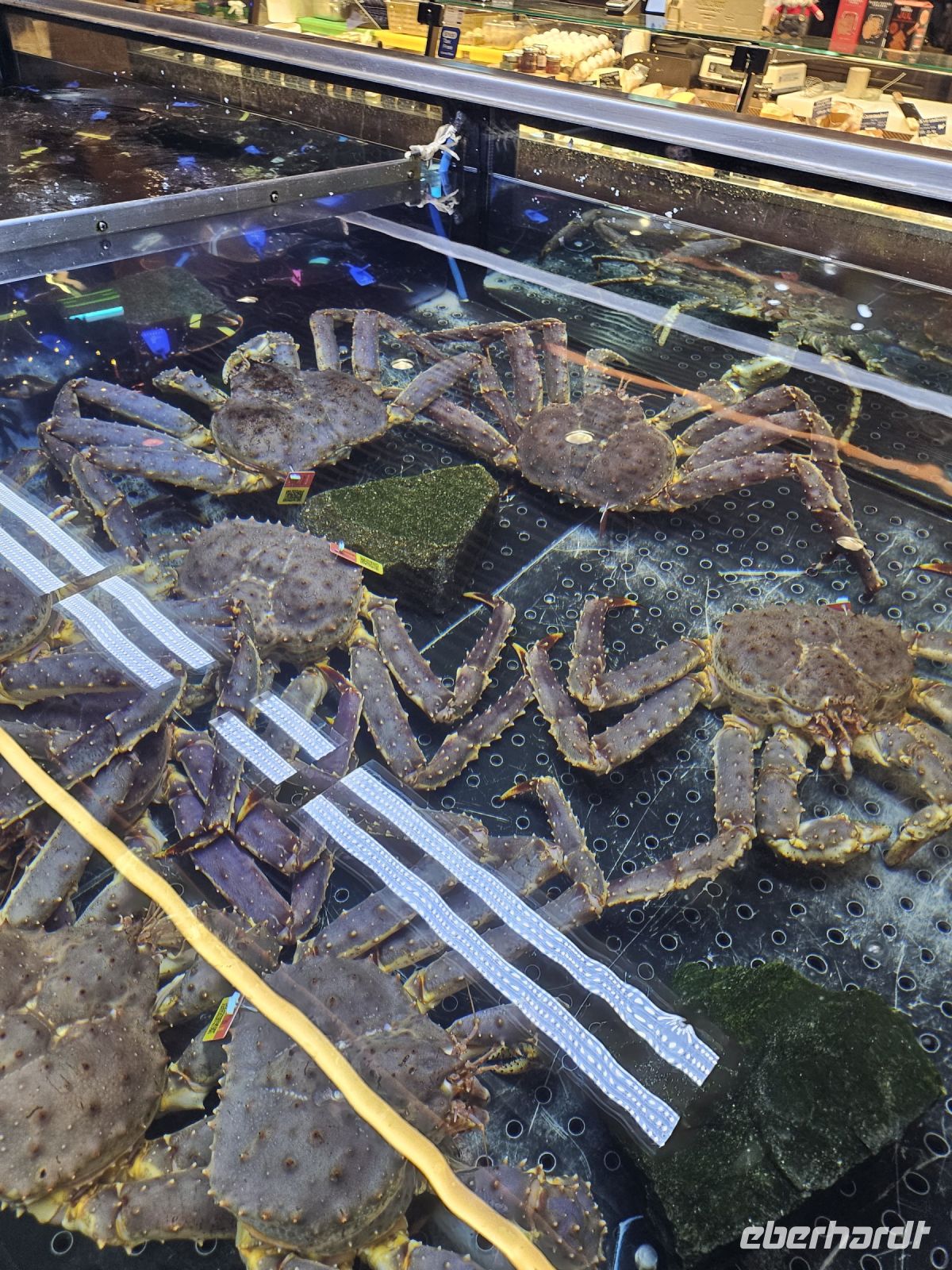 Abendessen im Fischrestaurant