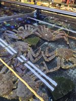 Abendessen im Fischrestaurant