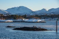 Fakultativer Bootsausflug - Silent Hjørundfjord