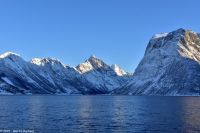 Fakultativer Bootsausflug - Silent Hjørundfjord - Nebenford Norangsfjord