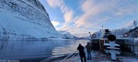 Fakultativer Bootsausflug - Silent Hjørundfjord - Nebenfjord Norangsfjord